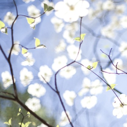 >Schauen wie die kleinen Kinder